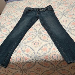 6 short American Eagle blue jeans